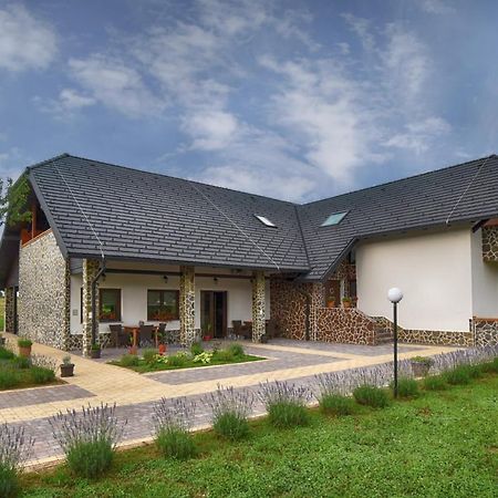 Villa Stone 1 Раковица Екстер'єр фото