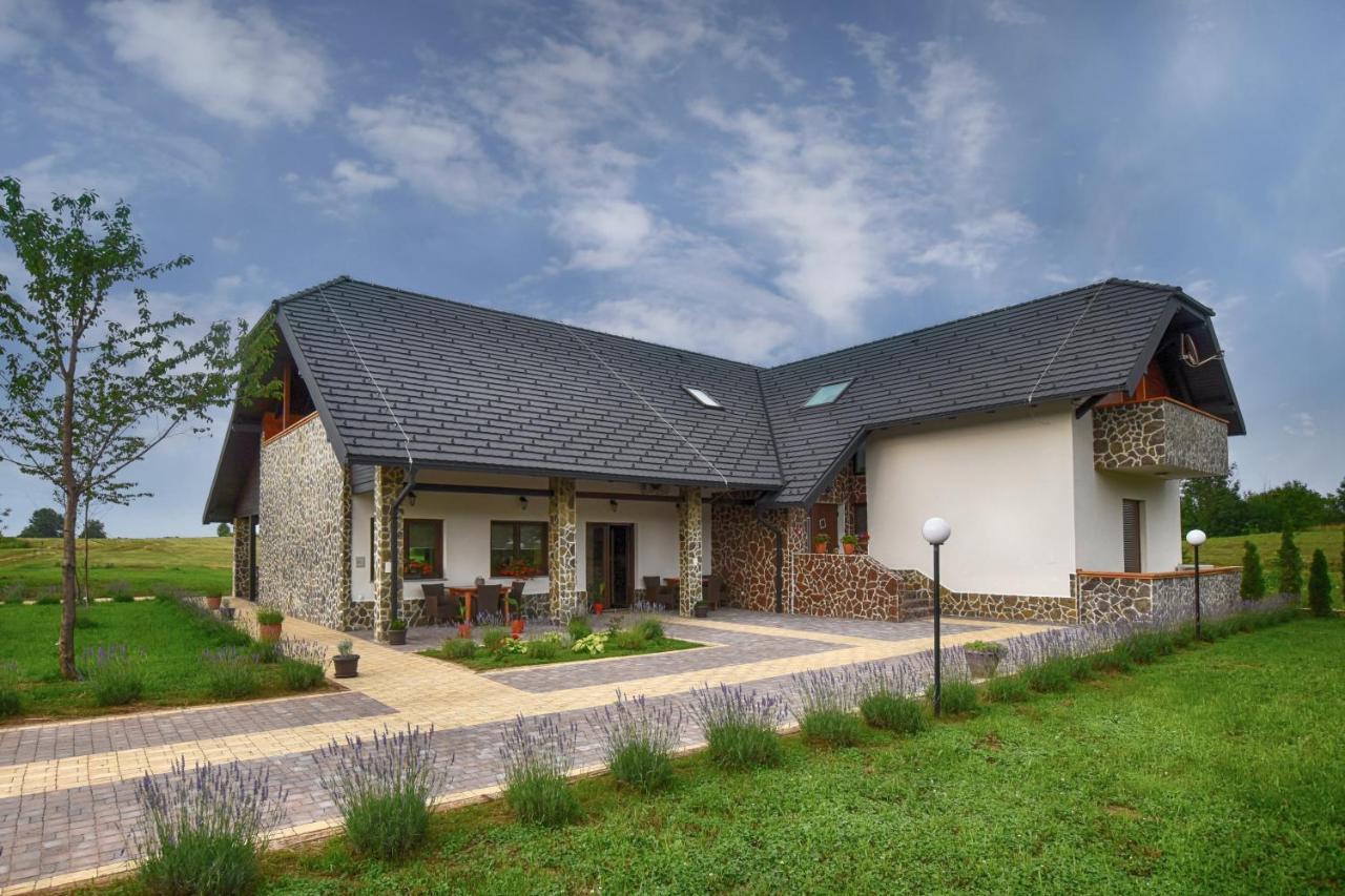 Villa Stone 1 Раковица Екстер'єр фото